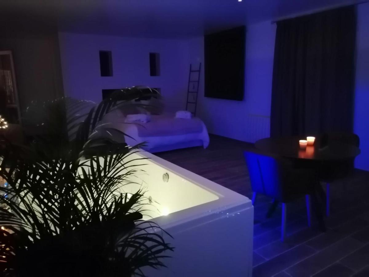 Loft De Luxe Jacuzzi Et Jardin Privatif 10 Minutes De Stade De France Casa de hóspedes Saint-Prix (Val d'Oise)