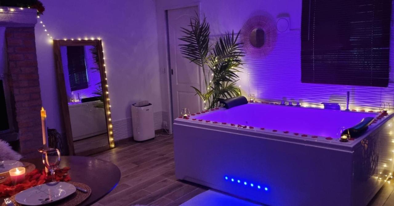 Loft De Luxe Jacuzzi Et Jardin Privatif 10 Minutes De Stade De France *