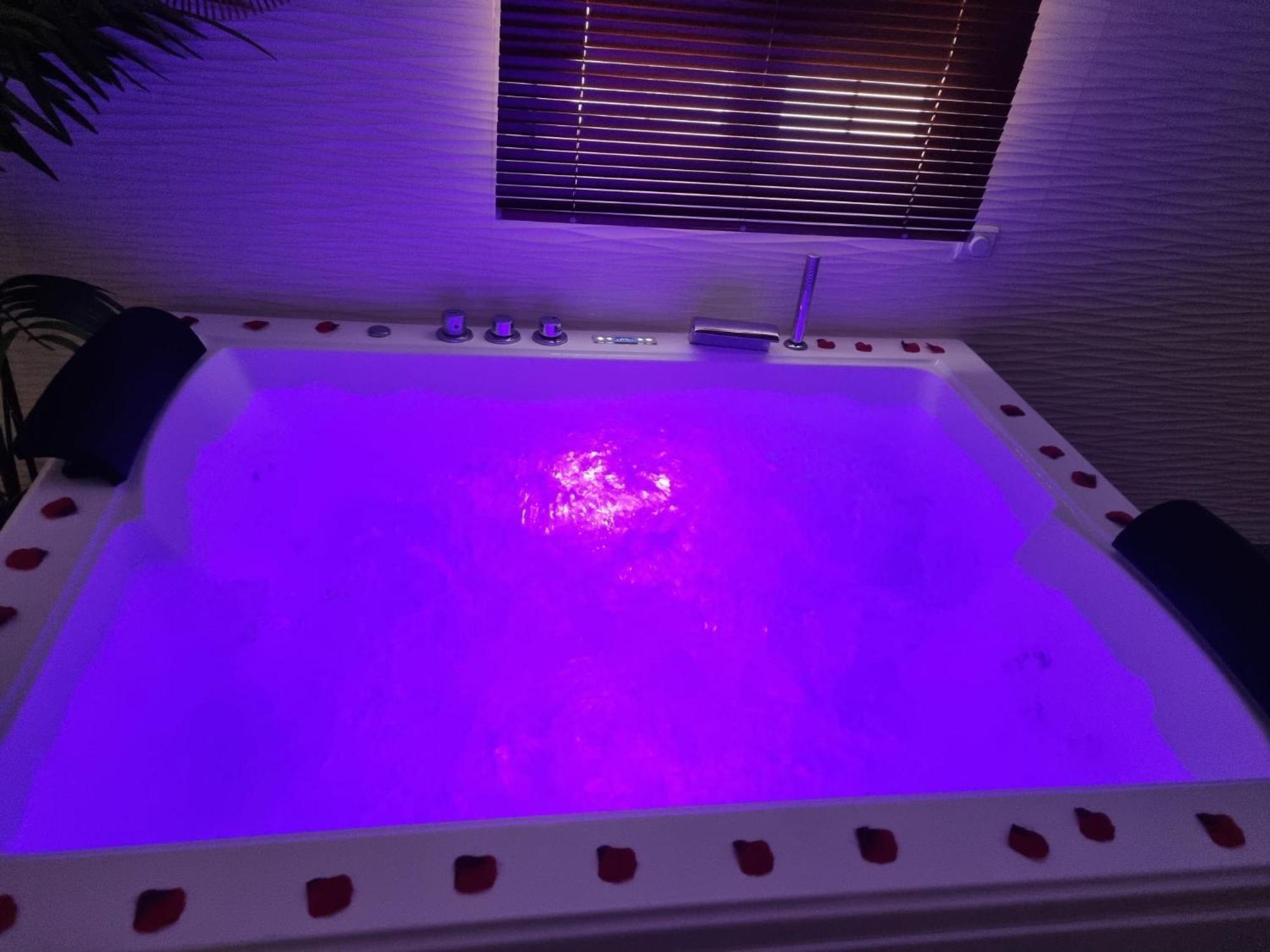 Casa de hóspedes Loft De Luxe Jacuzzi Et Jardin Privatif 10 Minutes De Stade De France Saint-Prix (Val d'Oise)